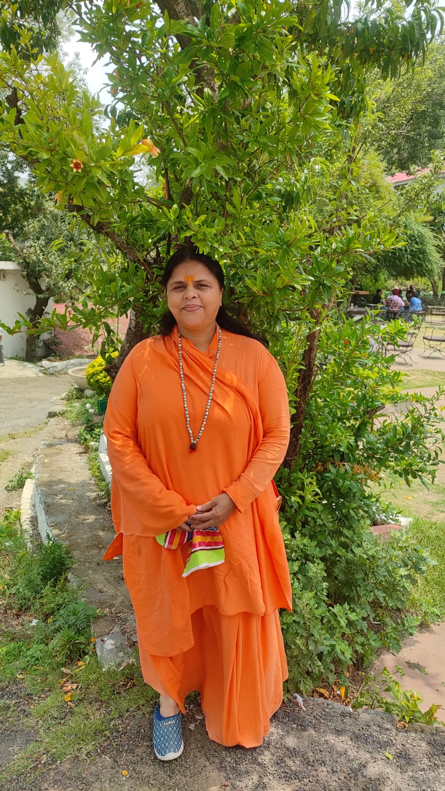 In the Garden